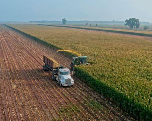 tractor and truck harvesting field